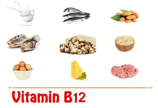 Vitamin-B12-Rich-Foods