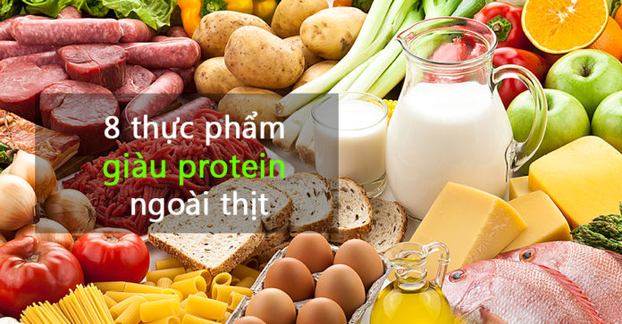 thực phẩm giàu protein