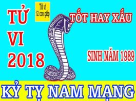 TỬ VI 2018 TUỔI KỶ TỴ - NAM MẠNG