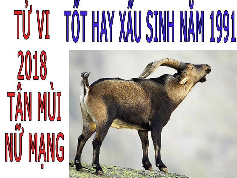 Tử Vi 2018 Tuổi Tân Mùi 1991 - Nam Mạng