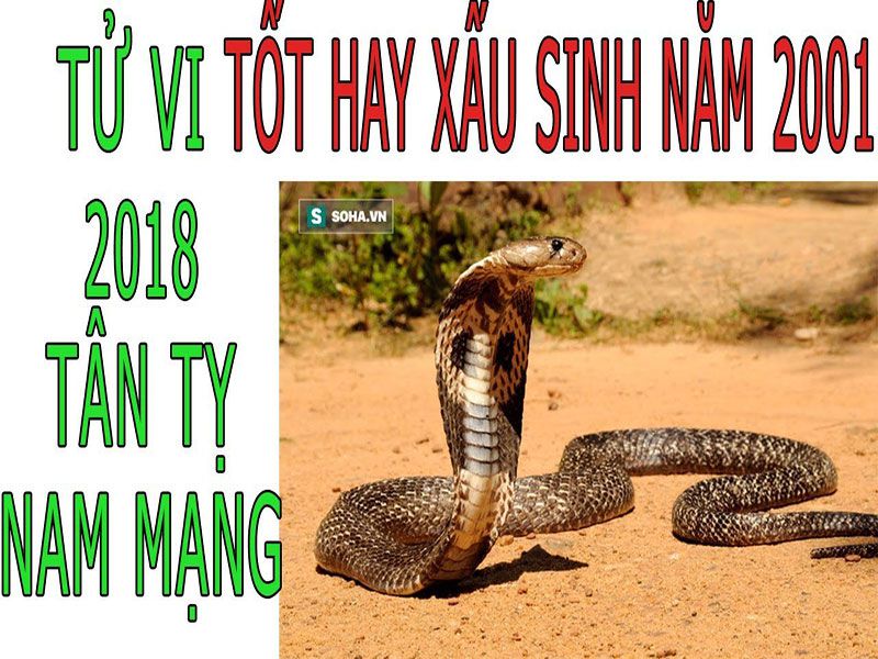 TỬ VI 2018 TUỔI TÂN TỴ 2001 - NAM MẠNG