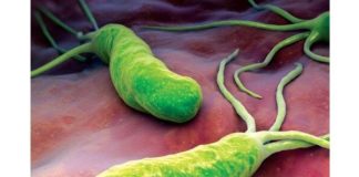 Vi khuẩn H. Pylori gây ra bệnh tiêu chảy