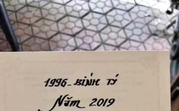 TỬ VI TUỔI BÍNH TÝ 1996 NĂM 2019