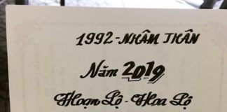 TỬ VI TUỔI NHÂM THÂN 1992 NĂM 2019